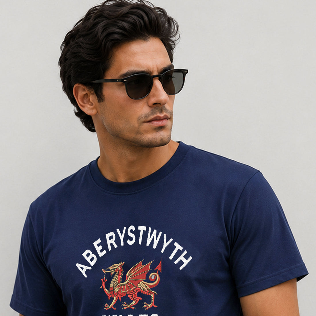 Aberystwyth Dragon Wales Embroidered T Shirt